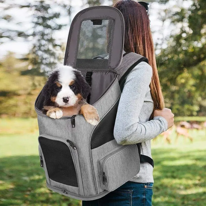 Mochila Transportadora para Cães Pequenos ou Gatos
