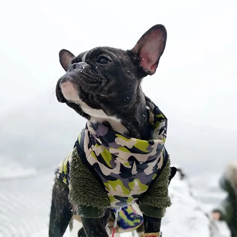 Casaco Camuflado Impermeável para Cães