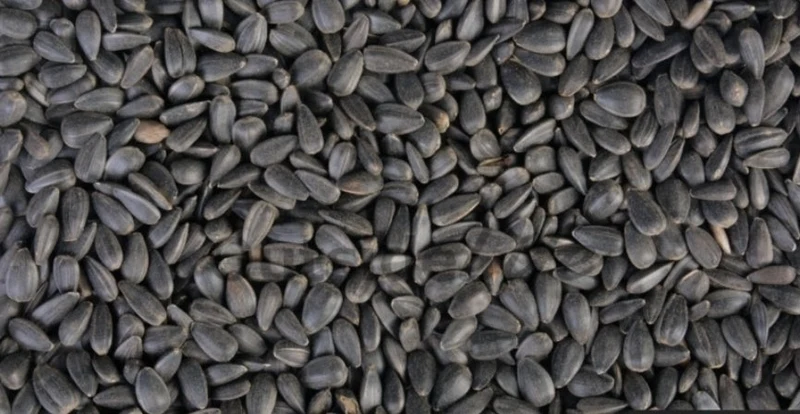 Schwarze Sonnenblumenkerne 1kg