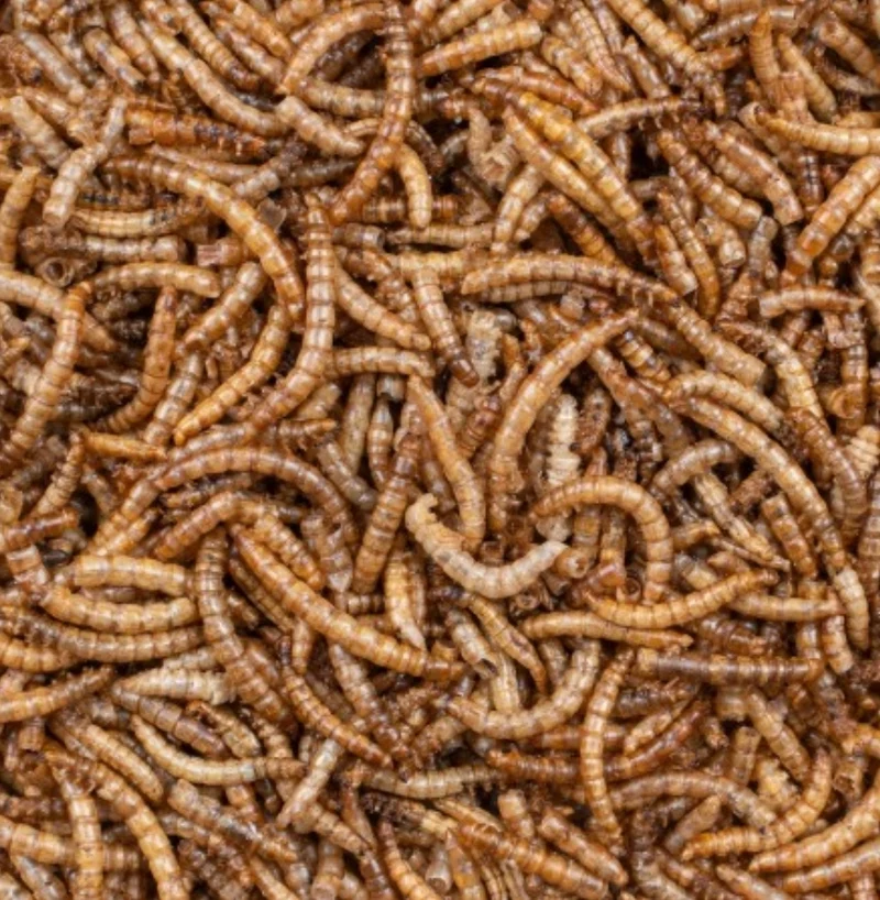 Greenline Mehlwürmer 200 Gramm - Deli Nature