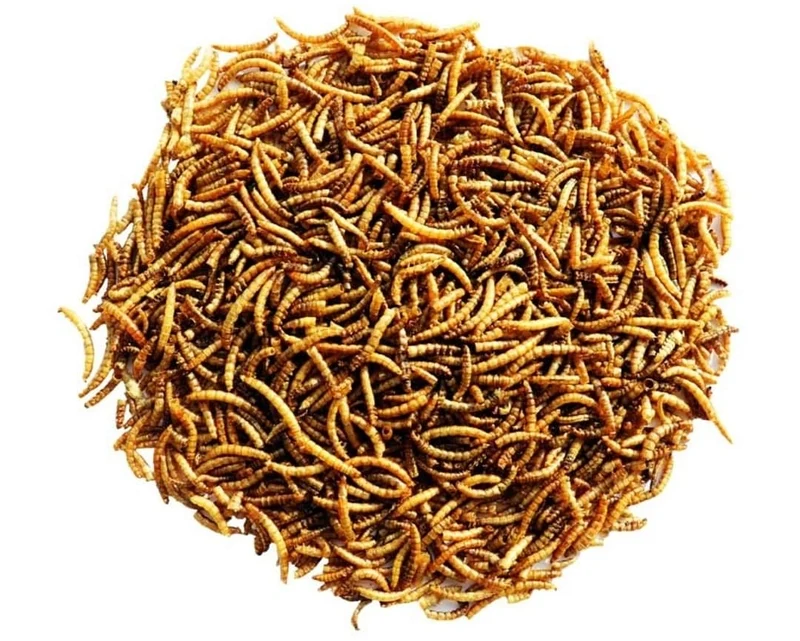 Menu Nature - Getrocknete Mehlwürmer - Futter - 300 Gramm - Versele Laga