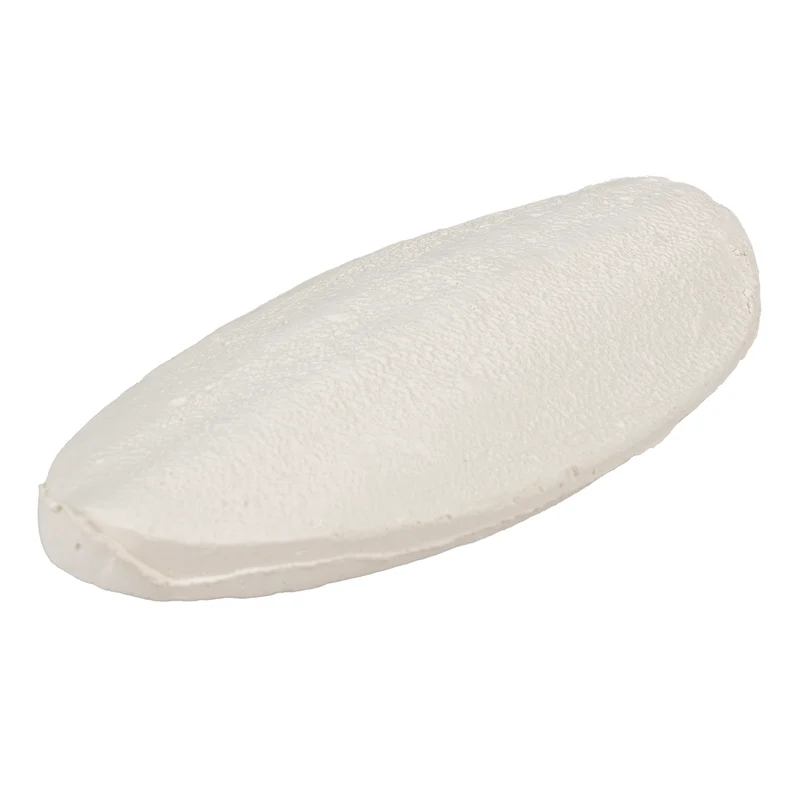 Sepia Calciumschale Weiß – 3 Stück, 11 cm – Duvo+