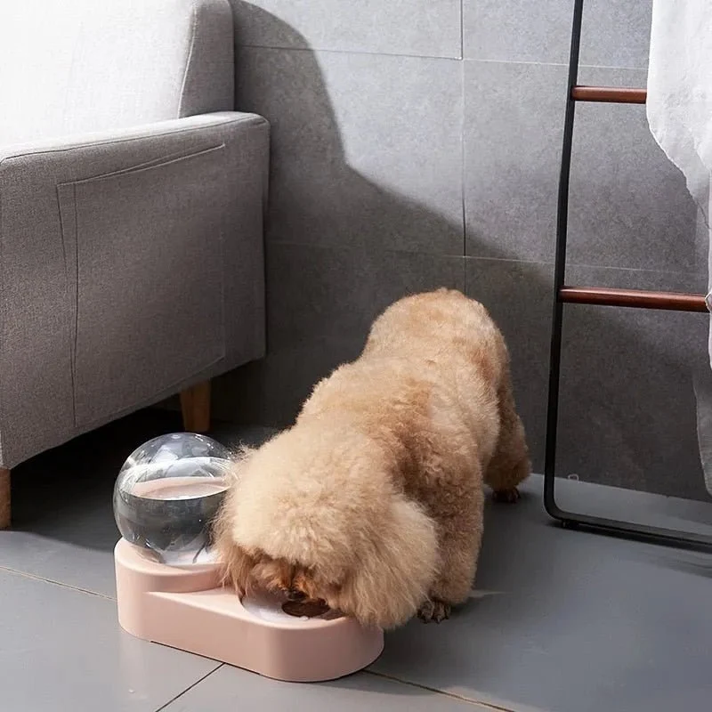 Comedouro e Bebedouro Automático para Cães e Gatos