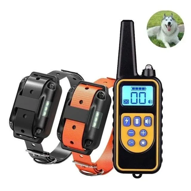 Coleira de Treino Recarregável com LCD Display (800 metros)