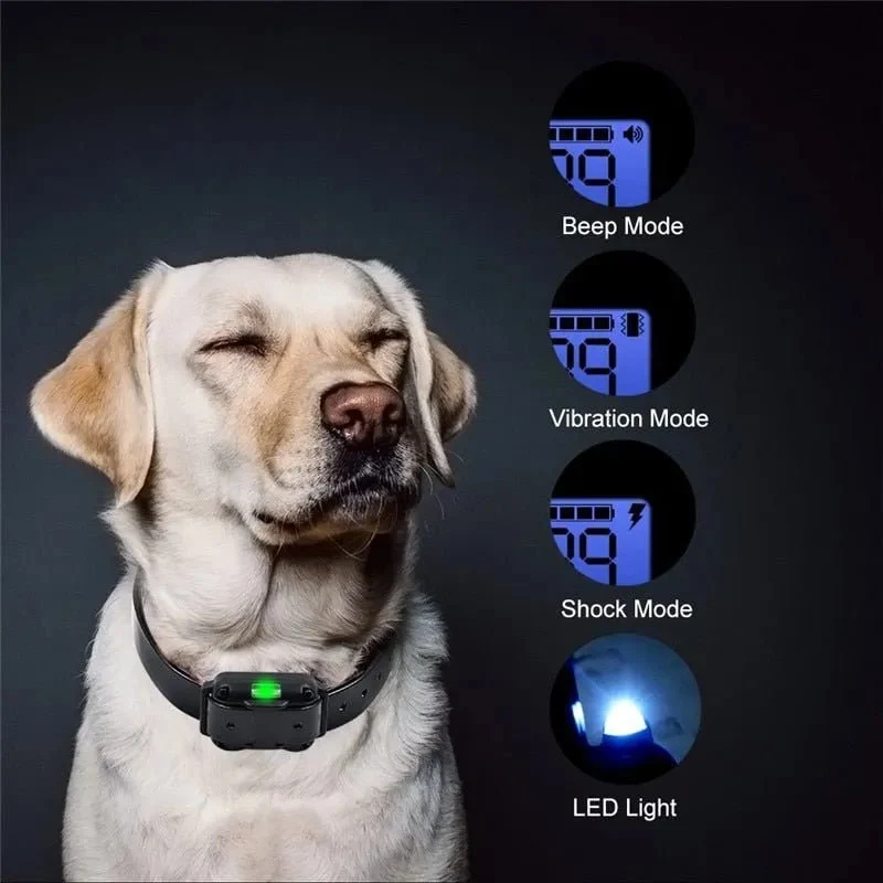 Coleira de Treino Recarregável com LCD Display (800 metros)