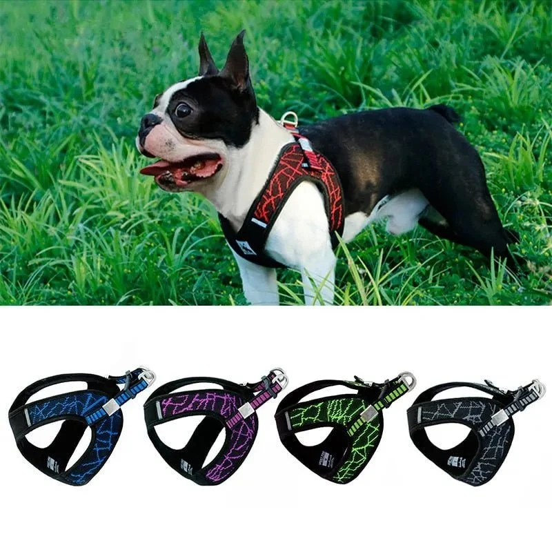 Peitoral "No-pull" Desportivo e Reflector