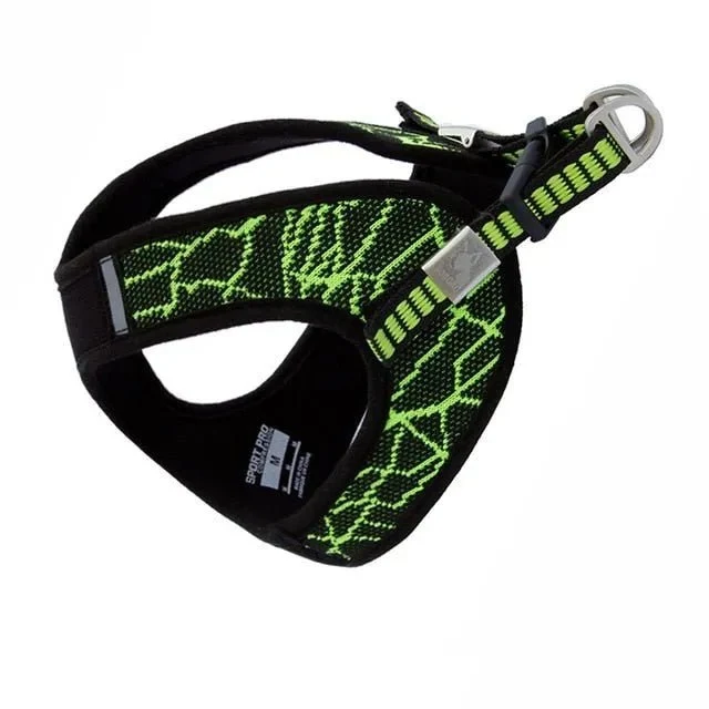 Peitoral "No-pull" Desportivo e Reflector