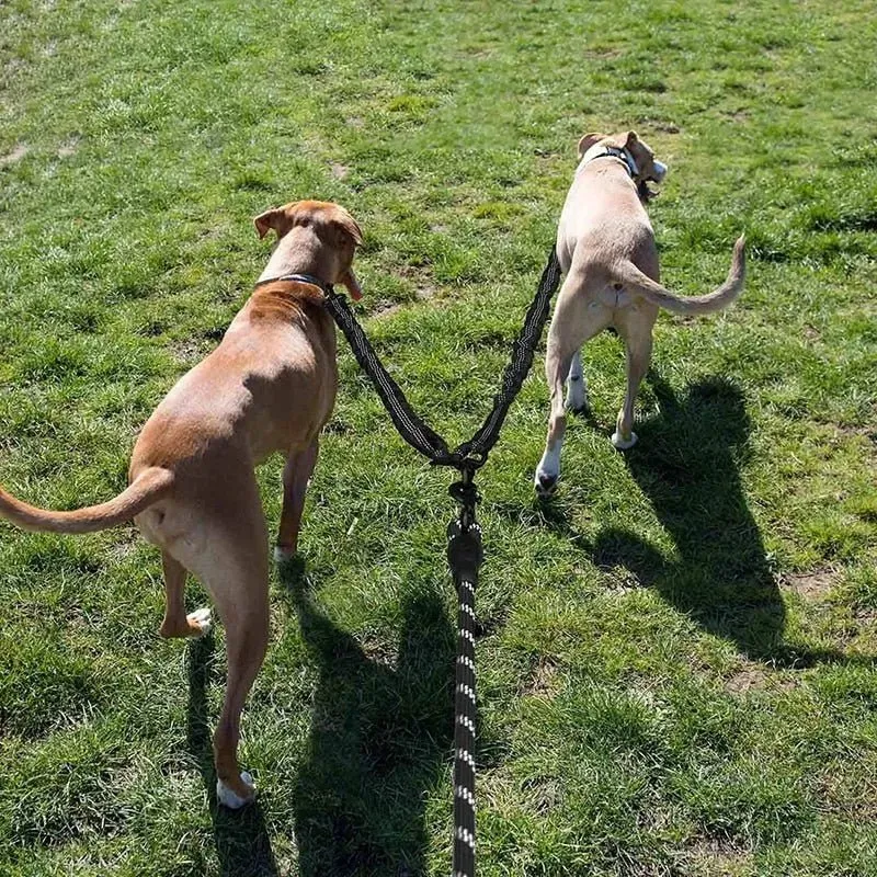 Trela Dupla (para 2 cães simultâneamente, anti-entrelaçamento)