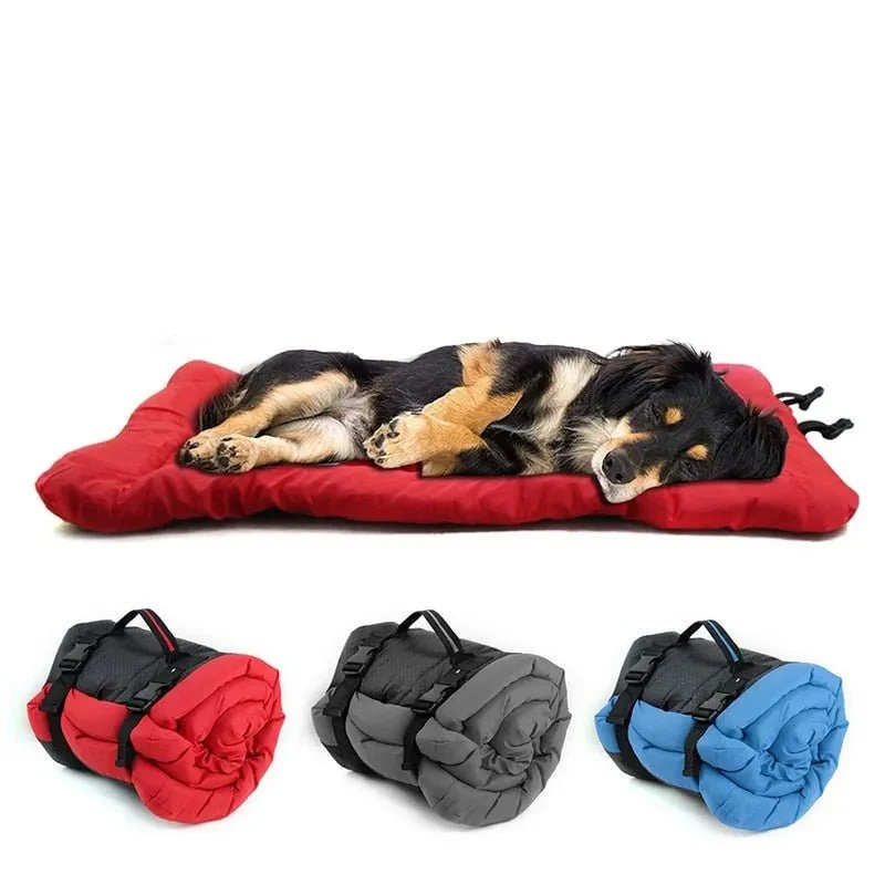 Cama Portátil para Cães ou Gatos