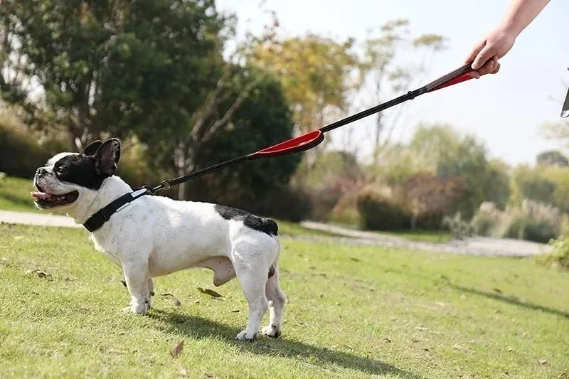 Trela de treino, Reflectora, com duas pegas, para cães