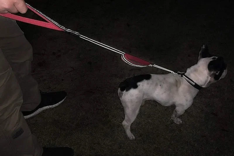 Trela de treino, Reflectora, com duas pegas, para cães