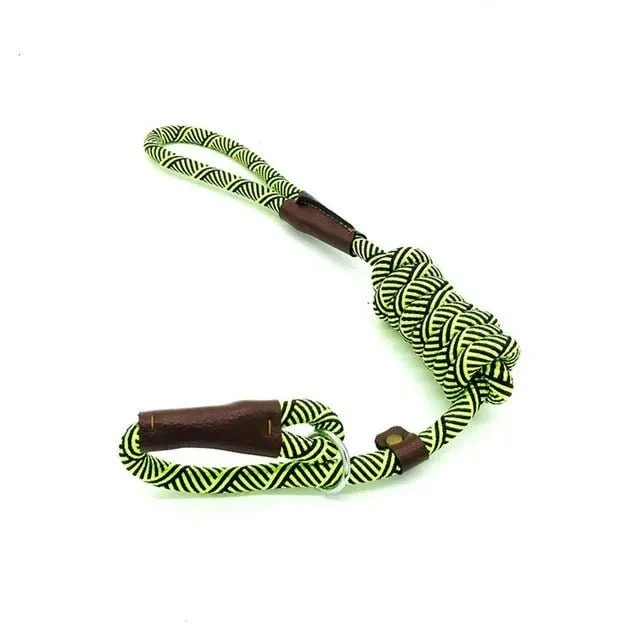 Trela tipo "slip rope", 2 em 1, ajustável, para Cães Médios e Grandes