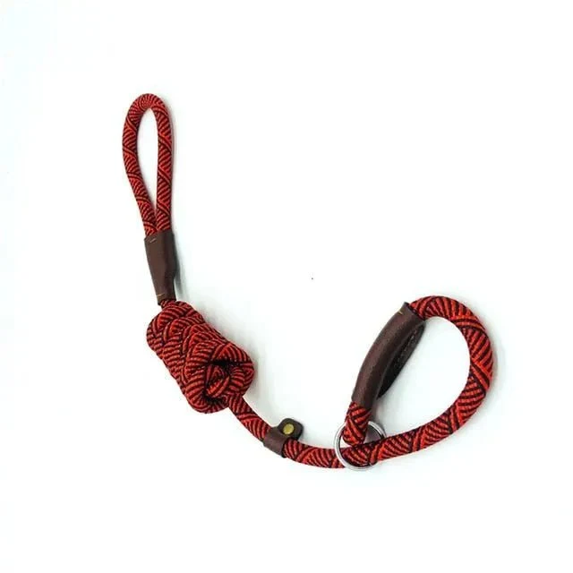 Trela tipo "slip rope", 2 em 1, ajustável, para Cães Médios e Grandes