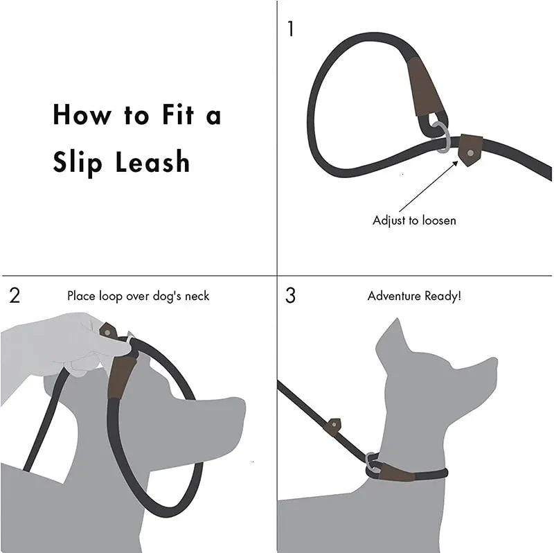 Trela tipo "slip rope", 2 em 1, ajustável, para Cães Médios e Grandes