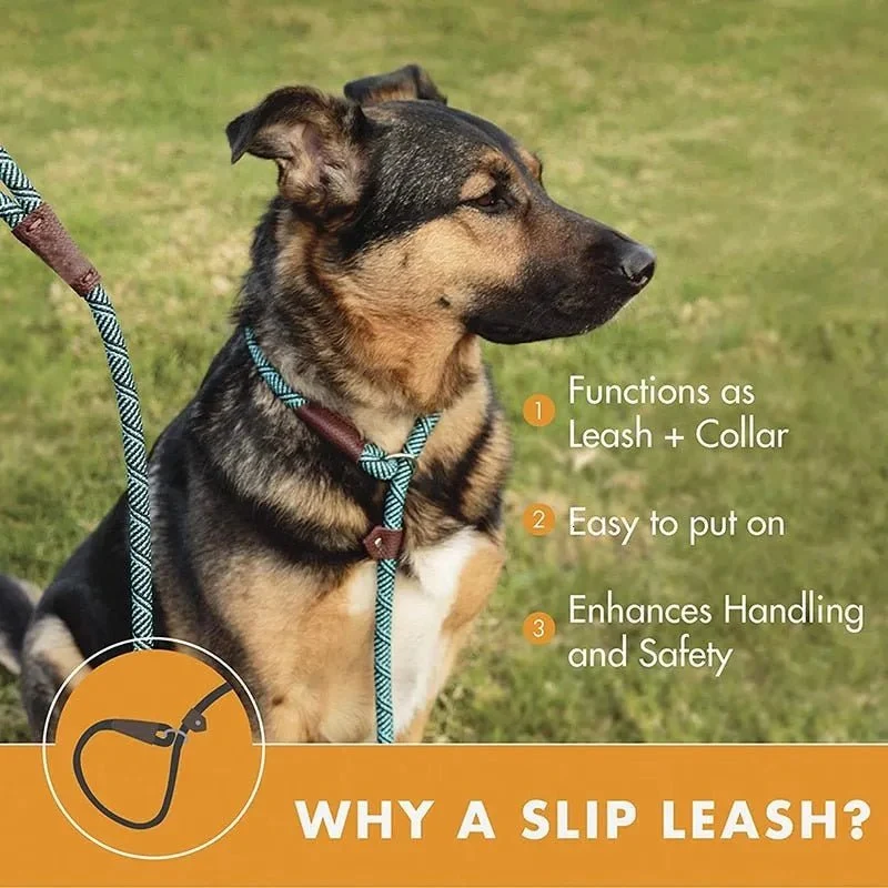 Trela tipo "slip rope", 2 em 1, ajustável, para Cães Médios e Grandes