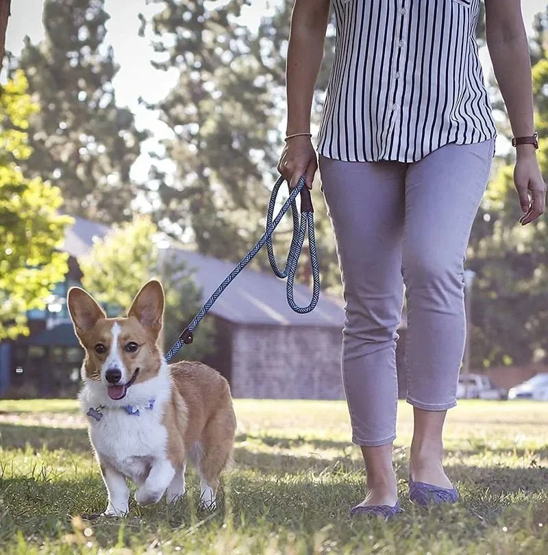 Trela tipo "slip rope", 2 em 1, ajustável, para Cães Médios e Grandes