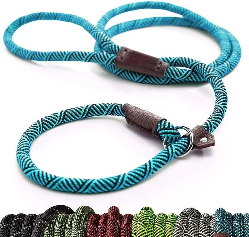 Trela tipo "slip rope", 2 em 1, ajustável, para Cães Médios e Grandes
