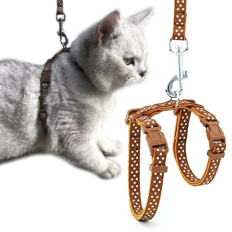 Trela / Peitoral Ajustável para Gatos