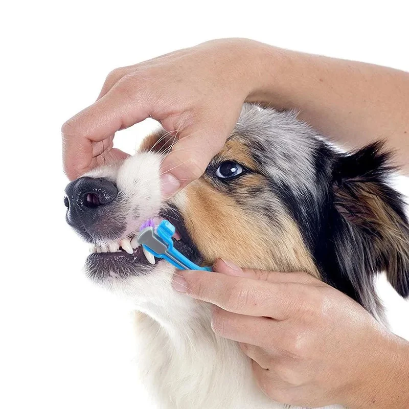 Escova de dentes, com 3 lados, para cães