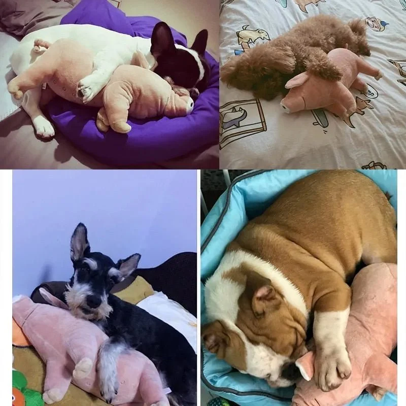 Porquinho Brinquedo em peluche para cães
