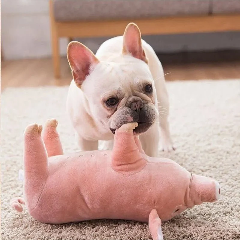 Porquinho Brinquedo em peluche para cães