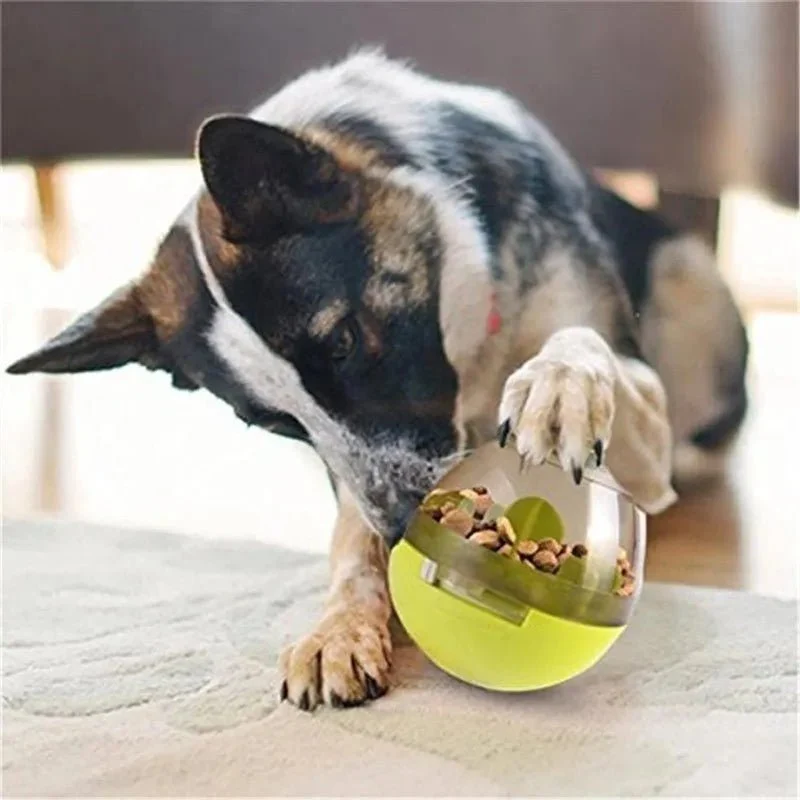 Brinquedo Interactivo / Dispensador de Biscoitos para Cães ou Gatos