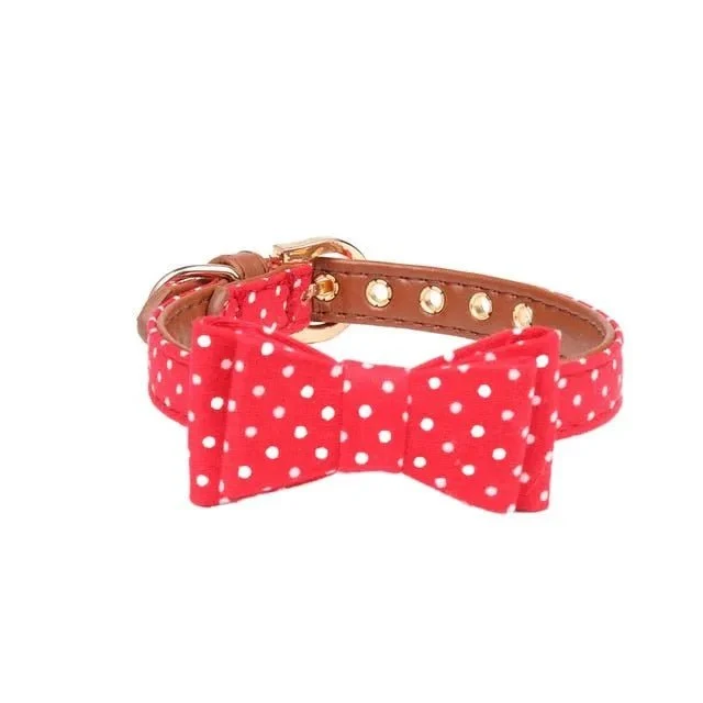 Coleira com Laço ou com Bandana, com Trela a condizer como opção, para Cães
