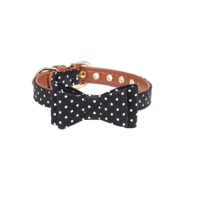 Coleira com Laço ou com Bandana, com Trela a condizer como opção, para Cães