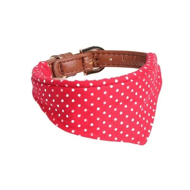 Coleira com Laço ou com Bandana, com Trela a condizer como opção, para Cães