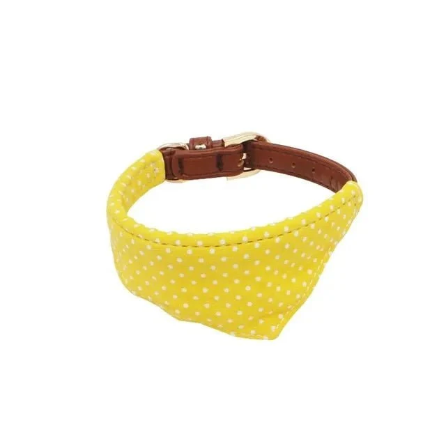 Coleira com Laço ou com Bandana, com Trela a condizer como opção, para Cães