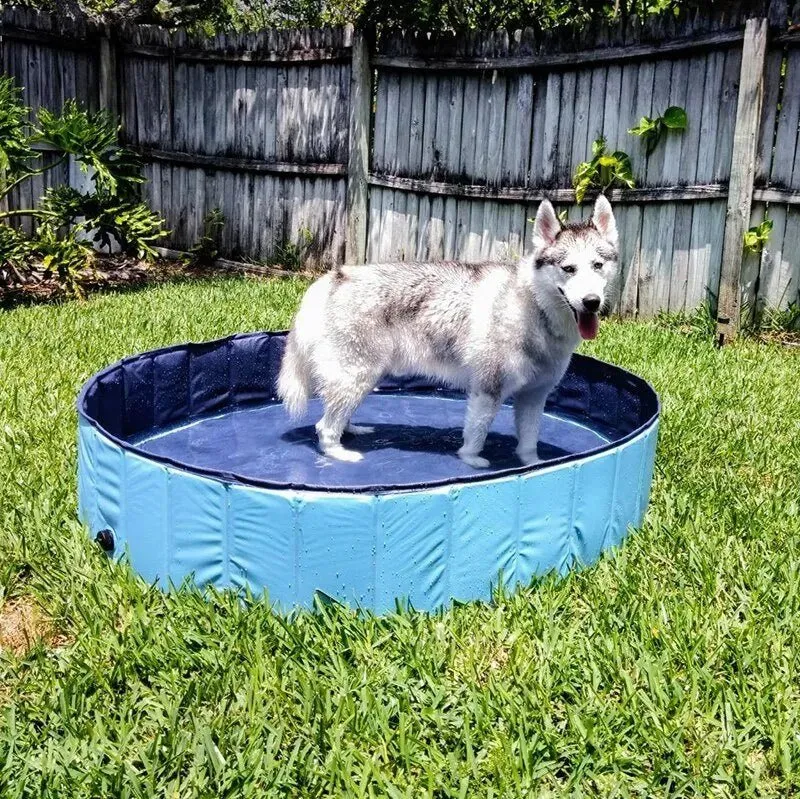 Piscina Dobrável para Cães