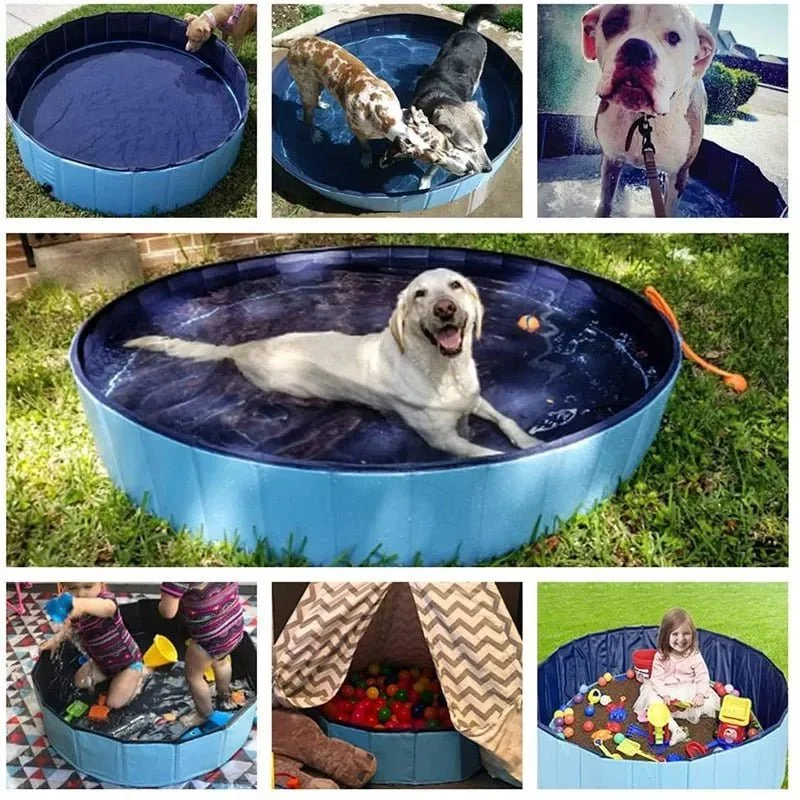 Piscina Dobrável para Cães