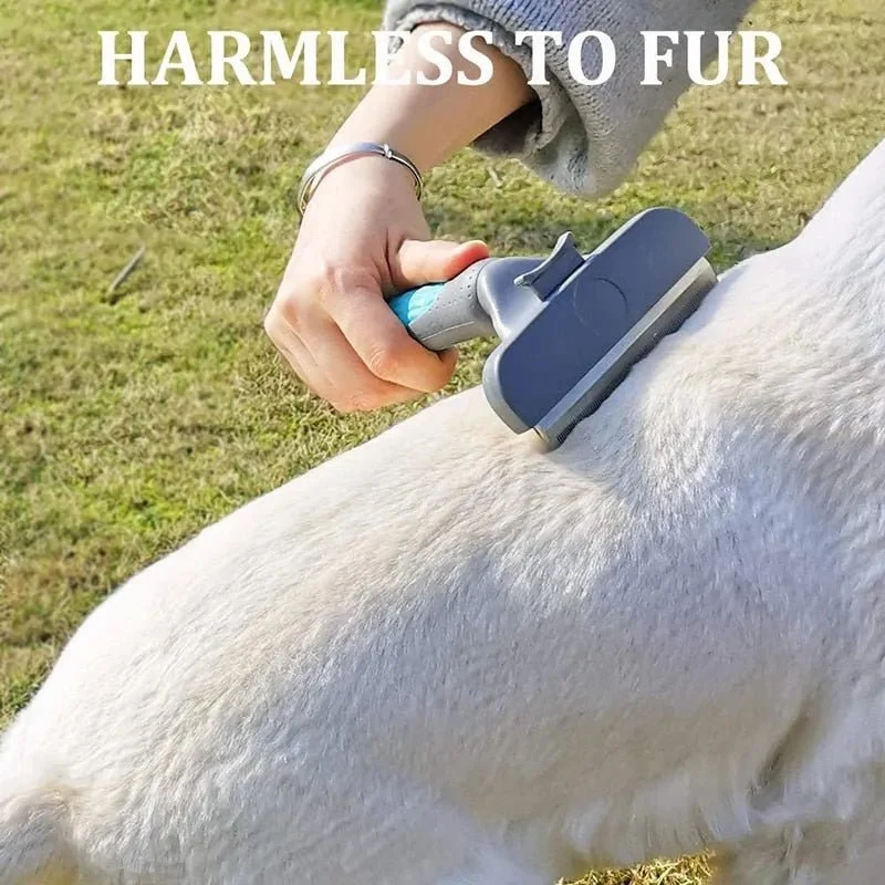 Escova Profissional para Cães (Eficaz para retirar nós)