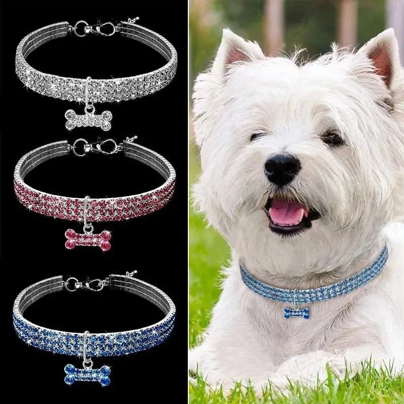 Coleira "Jet-Set" para Cães