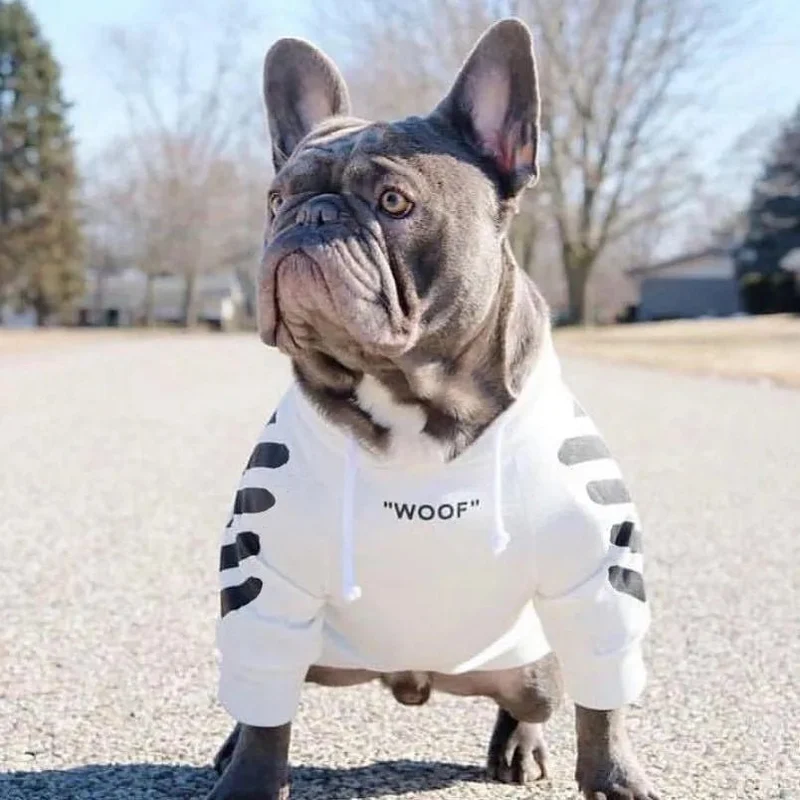 Camisola Desportiva com Capuz para French Bulldog
