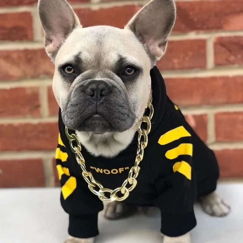 Camisola Desportiva com Capuz para French Bulldog