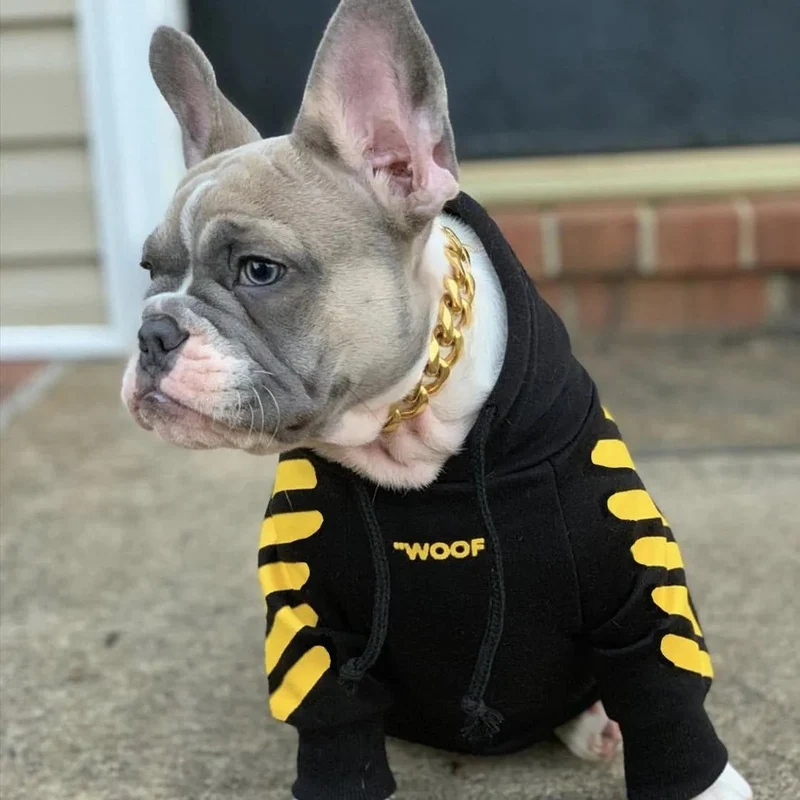 Camisola Desportiva com Capuz para French Bulldog
