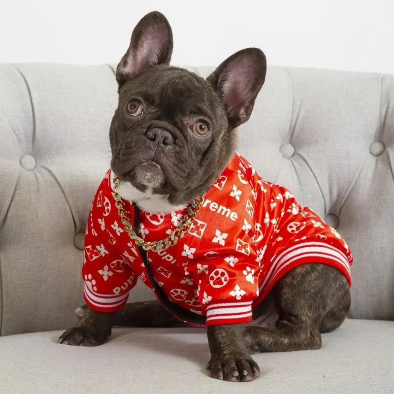 Pijama / Camisola para French Bulldog