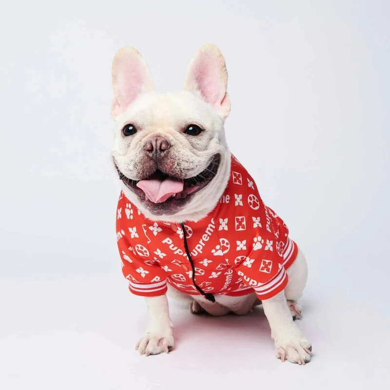 Pijama / Camisola para French Bulldog