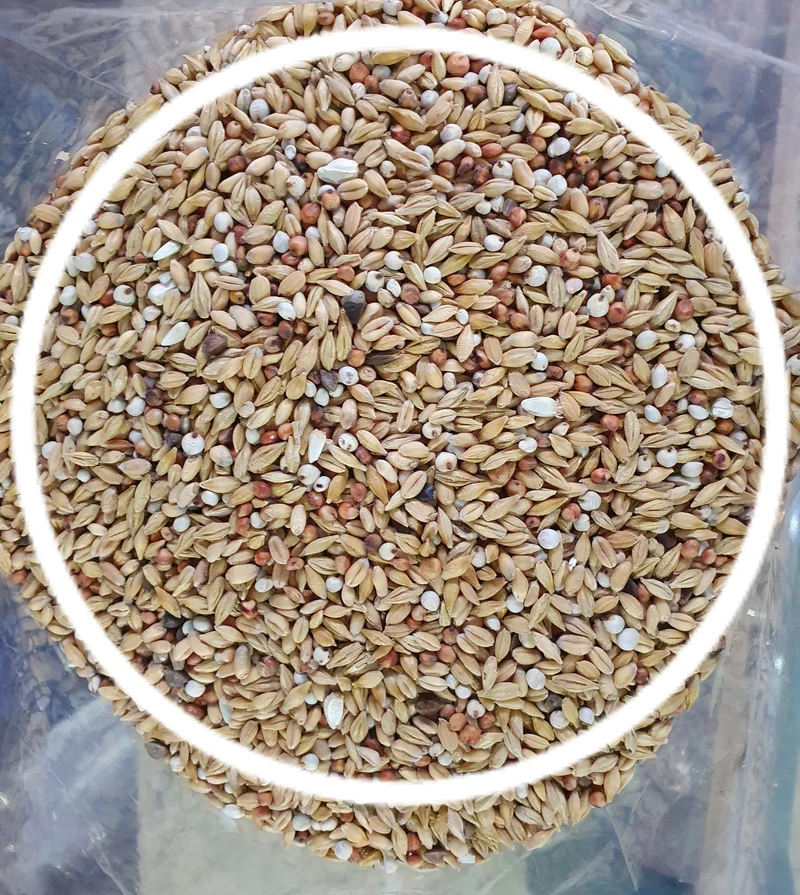 Reinigungsstandard 5 Kg Mariman - Versele Laga