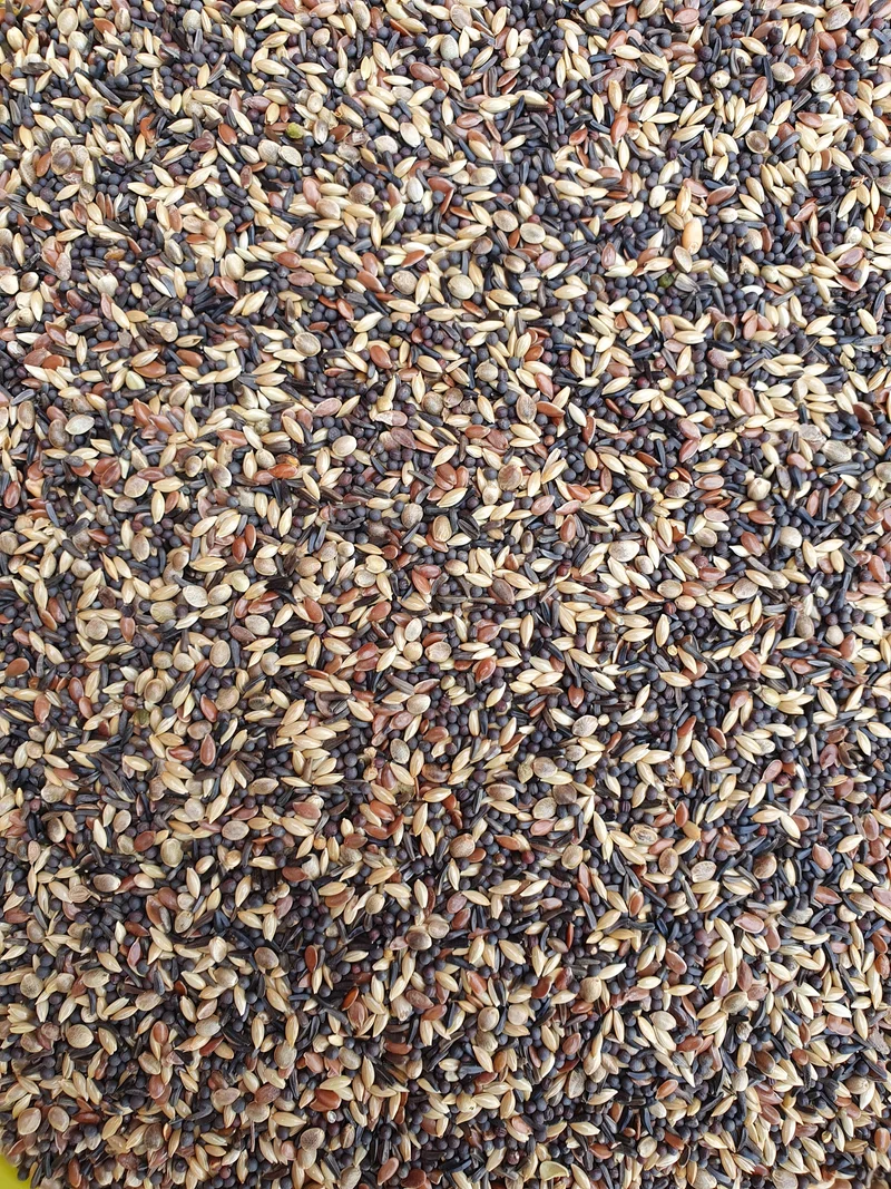 Deli Nature 48 Zeisig und Stieglitz 1kg
