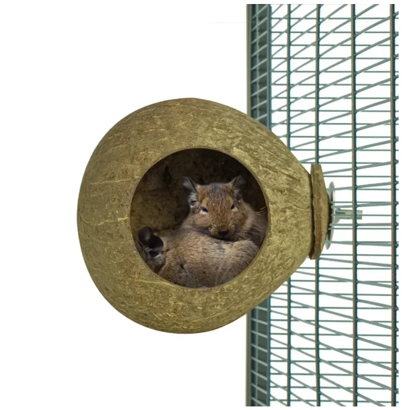 Zurück Zoo Nature Kokosnusshaus - 13* Ø 11 cm