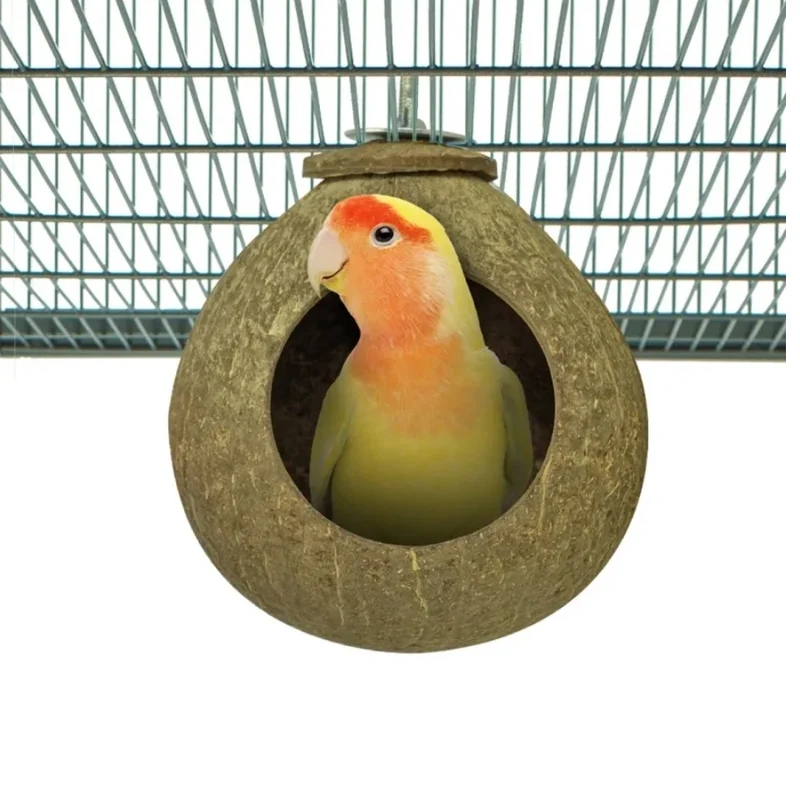 Zurück Zoo Nature Kokosnusshaus - 13* Ø 11 cm