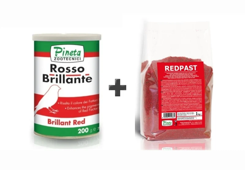 Kombipaket - Rosso Brillante + Redpast