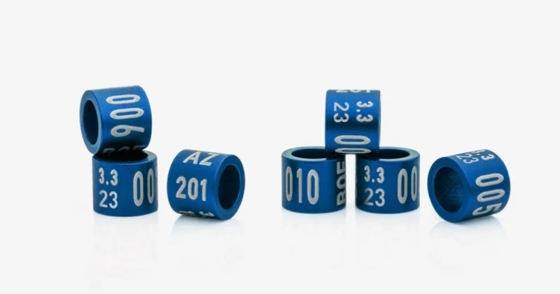 Geschlossene Jahresringe 2023 - 11 mm