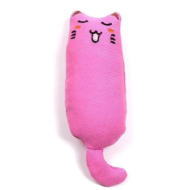 Brinquedo para Gatos (com Catnip no interior)