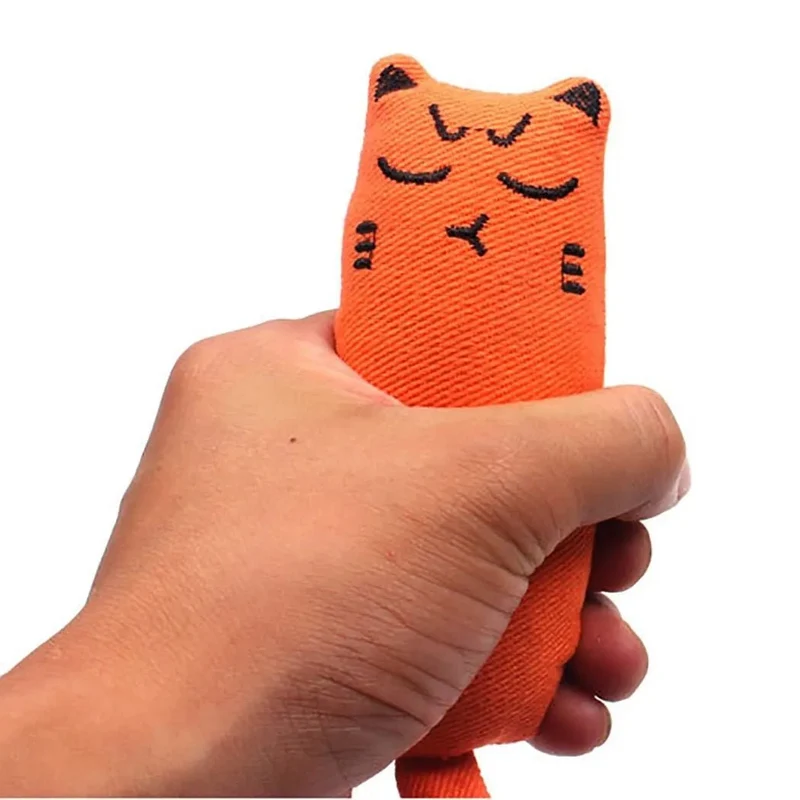 Brinquedo para Gatos (com Catnip no interior)