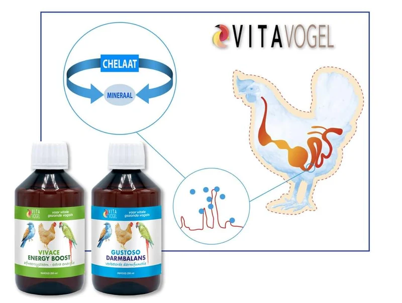 Vita Vogel Combo - Chelate: für eine effektive Wirkung