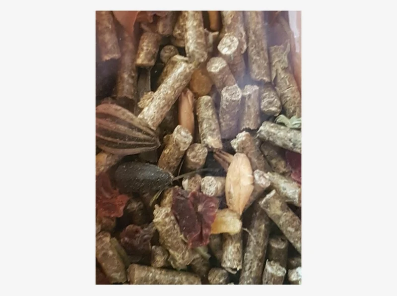 Deli Nature 5-Sterne-Menü Chinchilla 2,5 kg