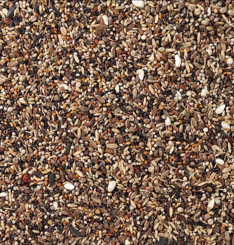 Birdelicious Pyrrhula 2kg, Dompfaffen